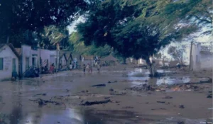 Mar engole parte de ilha em Vera Cruz e moradores vivem drama da destruição