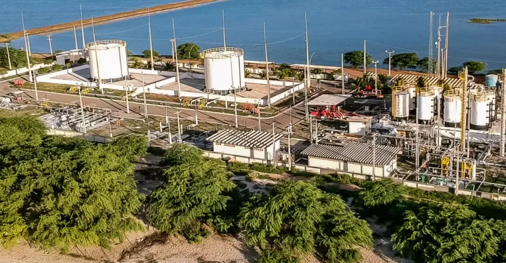 BRAV3 despenca mesmo com recorde de produção: o que está por trás da queda inesperada?