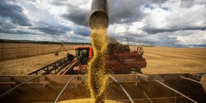 Brasil x EUA: o que falta ao agro brasileiro para alcançar os americanos