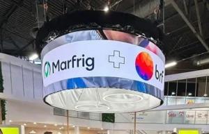 MBRF3 despenca após fusão entre Marfrig e BRF: nova gigante da carne estreia com risco elevado e pressão no mercado