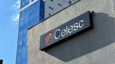 Celesc: elétrica catarinense entrega dividendos de 9 % e rentabilidade de 695 % em 10 anos Celesc