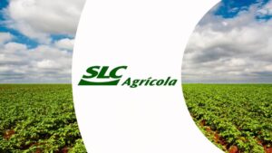 Ação da SLC Agrícola cai 40% e levanta dúvida: pechincha ou perigo no agro?