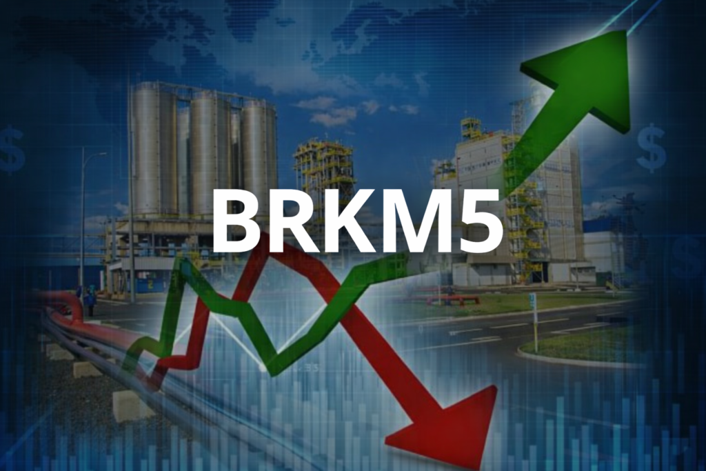 BRKM5 em alerta: dívida alta e patrimônio negativo pressionam ação