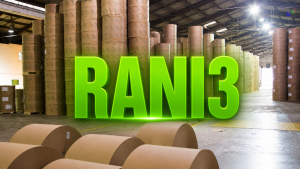 RANI3 despenca no 1T26: hora de comprar ou ainda é cedo?